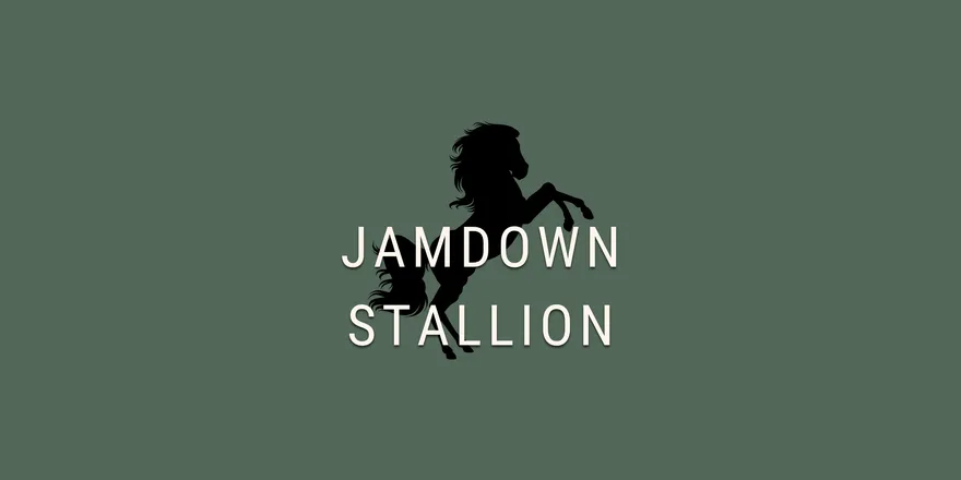 OnlyFans cuenta jamdownstallionvids header 2