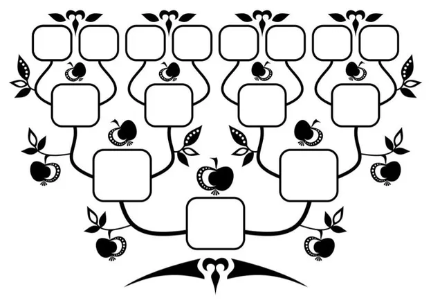 OnlyFans cuenta connergenealogy header 2