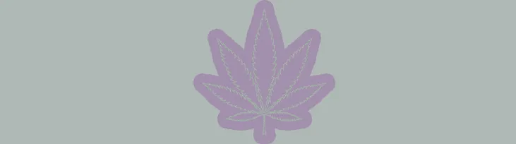 OnlyFans cuenta leaflavender header 2