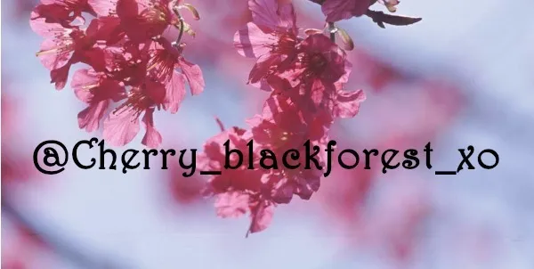 OnlyFans cuenta cherry_blackforest_xo header 2