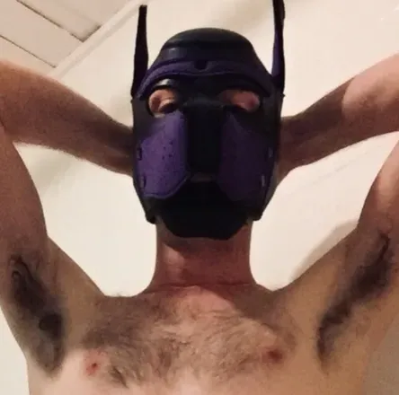 OnlyFans of alphapup8