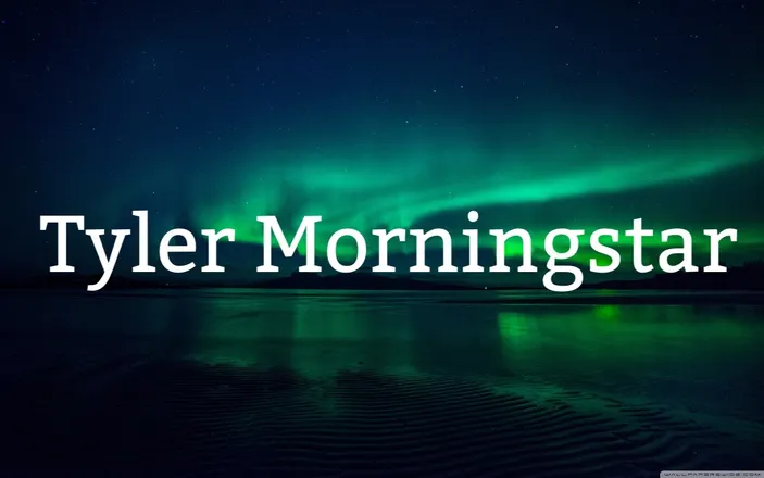 OnlyFans account  tyler_morningstar header 2