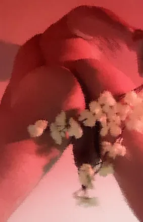 OnlyFans cuenta tioysobrinohot_1 header 1