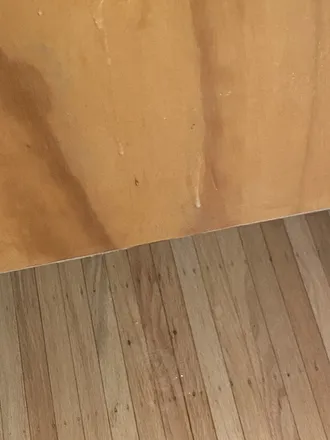 OnlyFans cuenta gloryholedump header 2