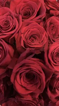 OnlyFans cuenta u7382113 header 2