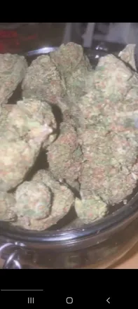 OnlyFans cuenta stonerbabexo1 header 2