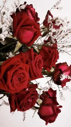 OnlyFans account  soljuli header 2