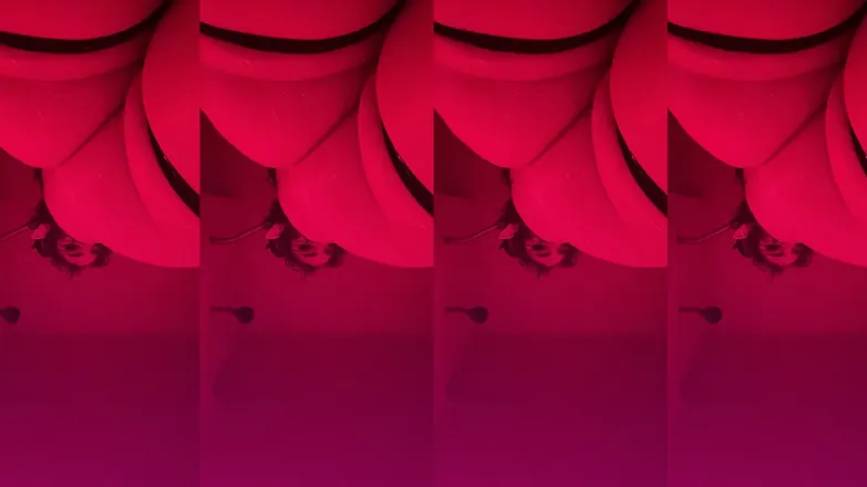 OnlyFans cuenta xcurious.3.kittenx header 2