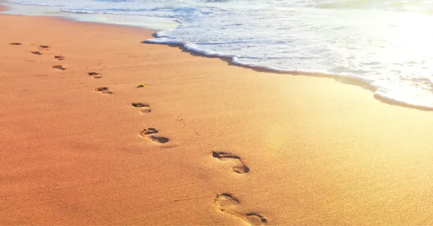 OnlyFans cuenta shyguysoles header 2