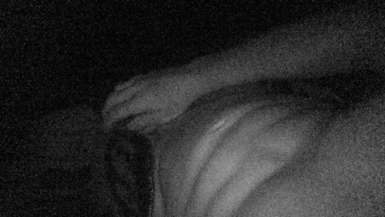 OnlyFans cuenta officialreedanderson header 2