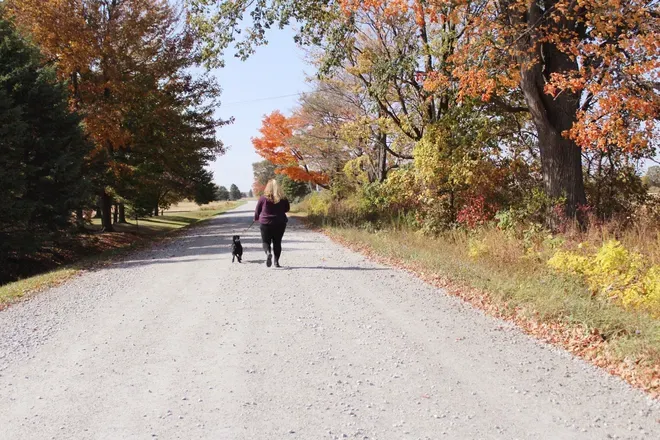 OnlyFans cuenta lynnmarie95 avatar 1