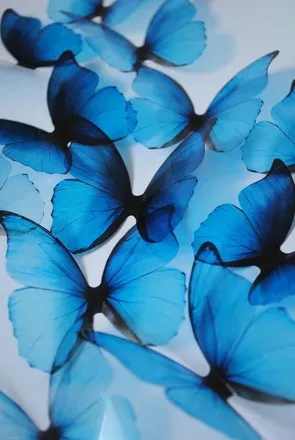 OnlyFans cuenta butterflybandits header 2