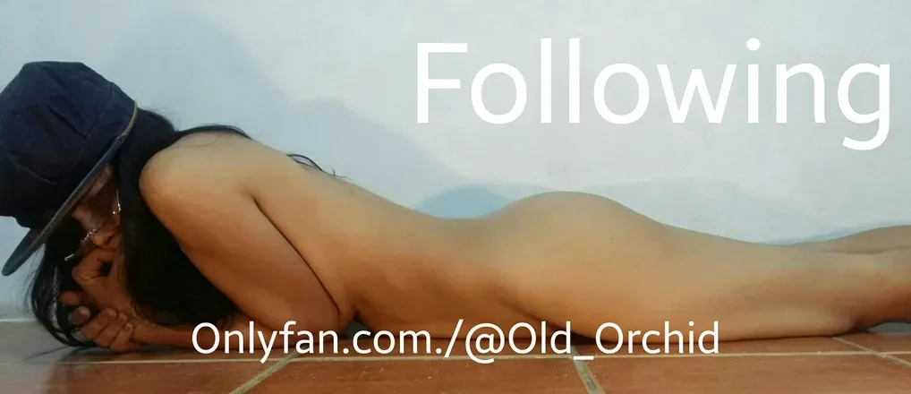OnlyFans cuenta old_orchid header 2