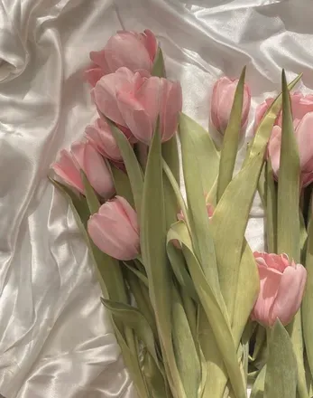 OnlyFans cuenta ameliaa826 header 2