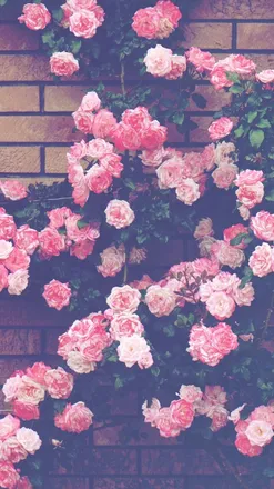 OnlyFans cuenta nevia_alevia header 2