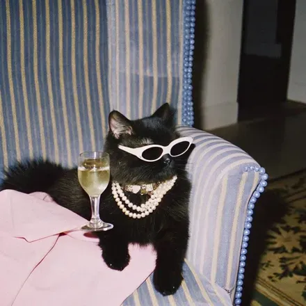 2026-01-03 photo 1