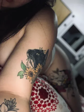 OnlyFans cuenta stasara header 2