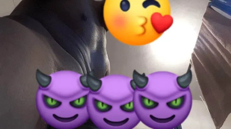 OnlyFans cuenta sabroso69 avatar 1