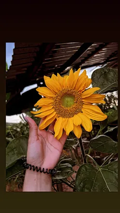 OnlyFans cuenta callia_f header 2