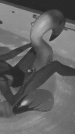 OnlyFans cuenta mysweetgallery avatar 1
