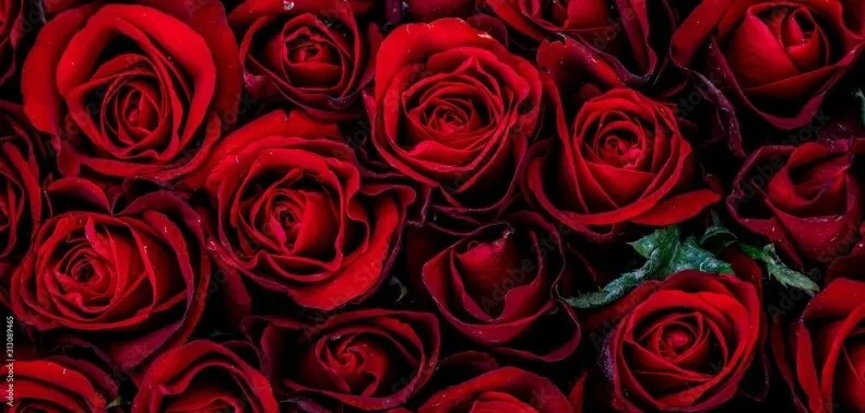 OnlyFans cuenta buujebabyyy header 2