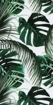 OnlyFans cuenta u122006341 header 2