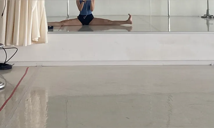 OnlyFans account  barellerina header 2