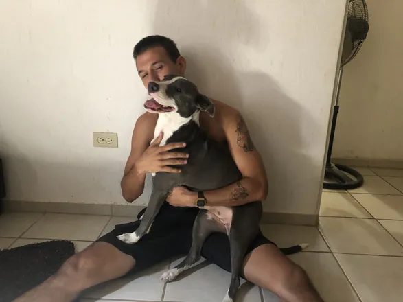 OnlyFans cuenta adansb420 header 2