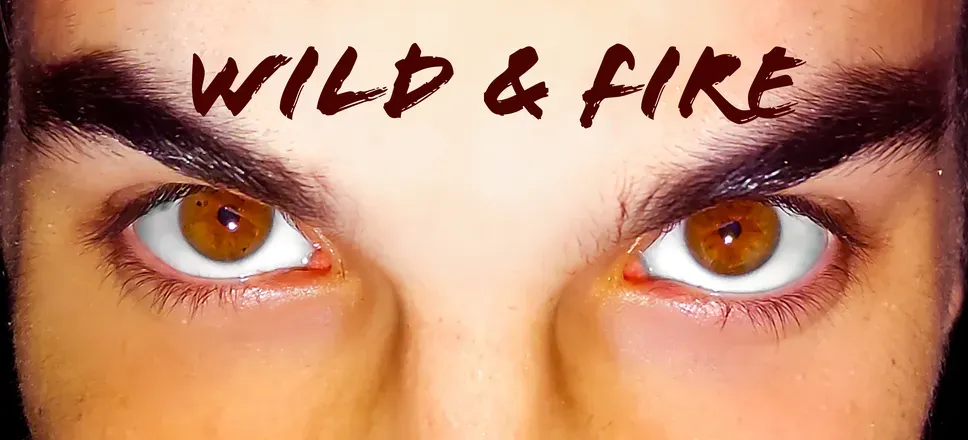OnlyFans cuenta wildnfire header 2