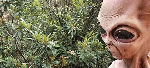 OnlyFans cuenta jamv0322 header 2