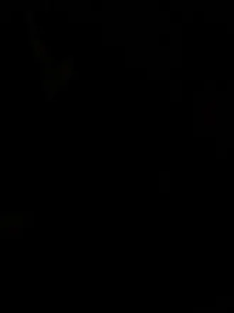 OnlyFans cuenta lizybibobio header 2
