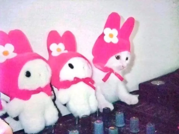 OnlyFans cuenta aegyo header 2