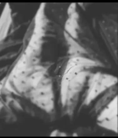 OnlyFans cuenta bbwprincess36 header 2