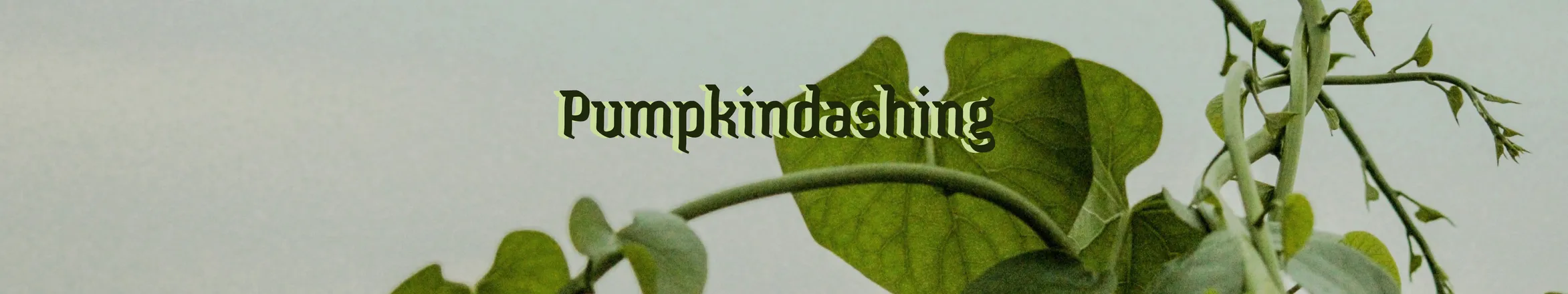 OnlyFans cuenta pumpkindashing header 2