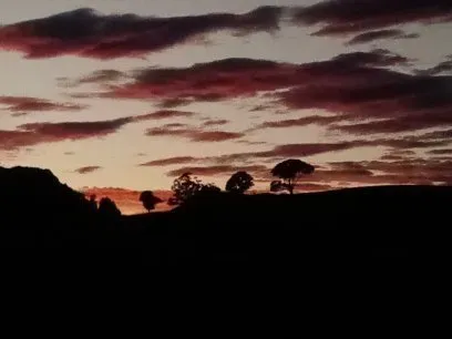 OnlyFans cuenta strangemaori06 header 2