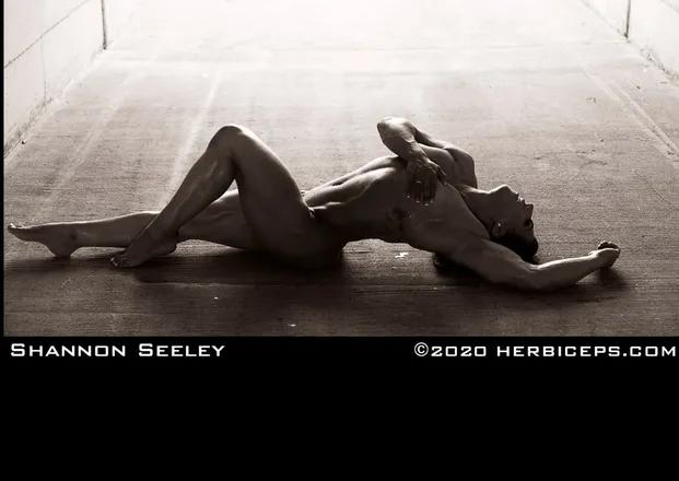 OnlyFans cuenta shannonseeley header 2