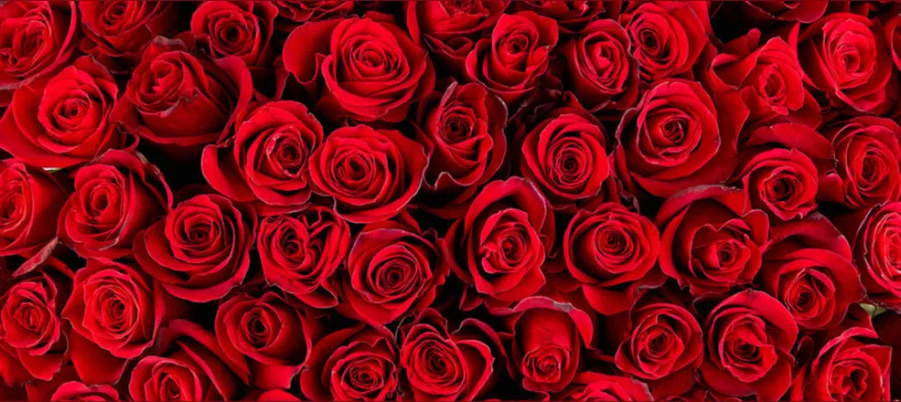 OnlyFans cuenta dimepeeice header 2
