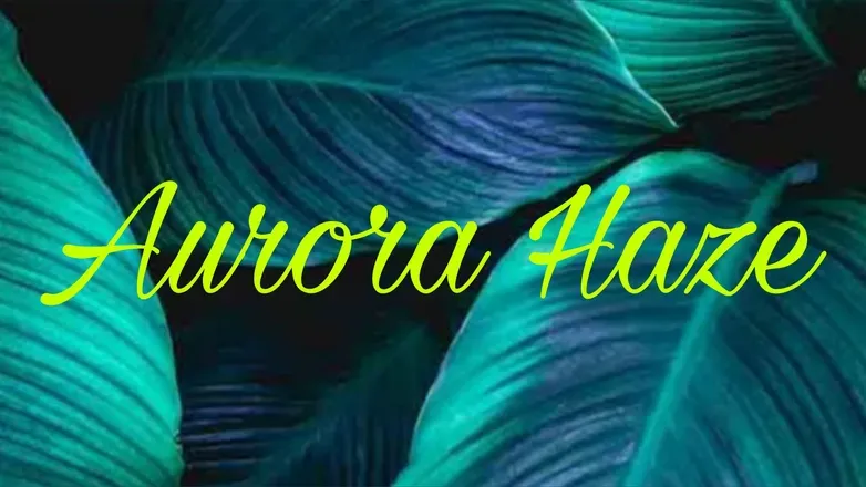 OnlyFans cuenta aurorahaze0 header 2