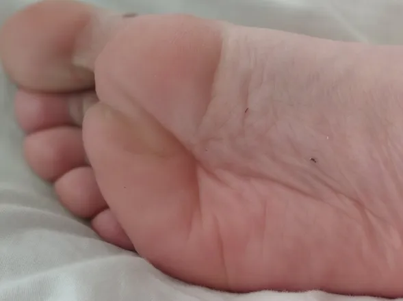 OnlyFans cuenta u256523291 header 2