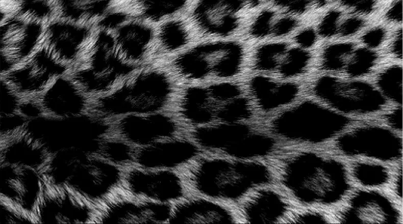 OnlyFans cuenta littledollnoir header 2