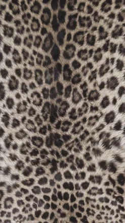 OnlyFans cuenta chanelinferno header 2