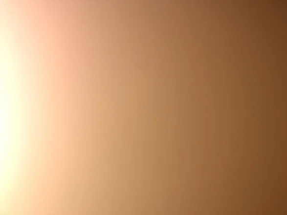 OnlyFans account  ricksins header 2