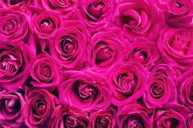 OnlyFans cuenta p1nkrose header 2