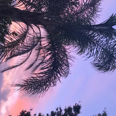 OnlyFans cuenta gabbiegonewild header 2