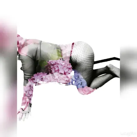 OnlyFans cuenta savannajones header 2