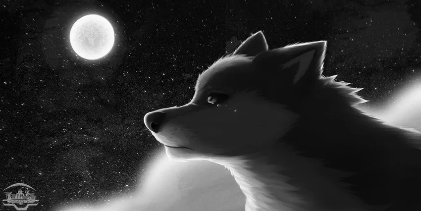 OnlyFans cuenta shadewuff header 2