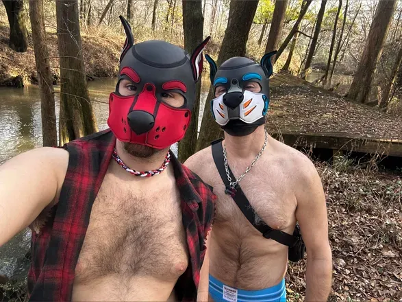 OnlyFans cuenta sportypup avatar 1