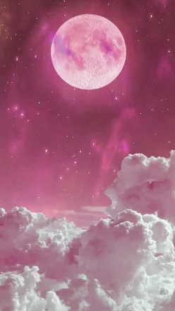 OnlyFans account  legsbean header 2