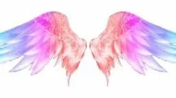 OnlyFans cuenta soyadriannaamor header 2