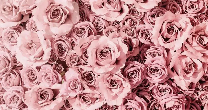 OnlyFans cuenta amethystrose2000 header 1